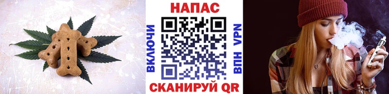 Купить где  Мышкин  Canna-Cookies конопля 