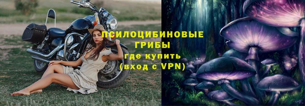 хмурый Горняк