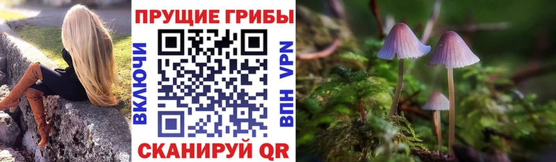 Купить  Мышкин  Галлюциногенные грибы мухоморы 